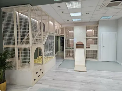 KOALA Ochota - Sala zabaw